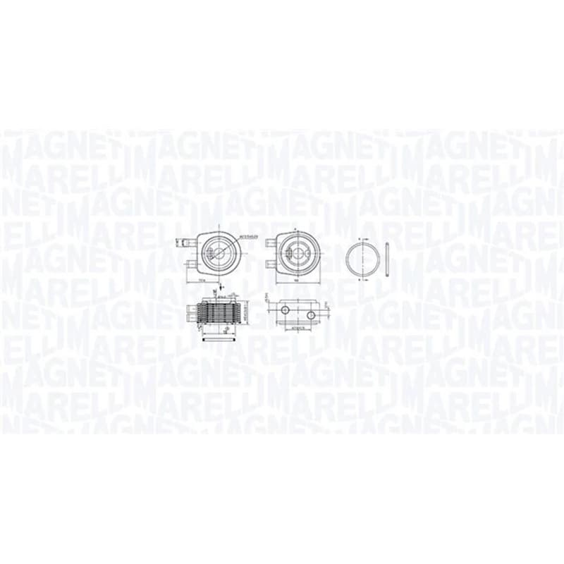 MAGNETIMARELLI alyvos aušintuvas, variklio alyva 350300001900