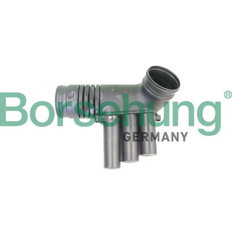BORSEHUNG įleidimo vamzdelis B12330