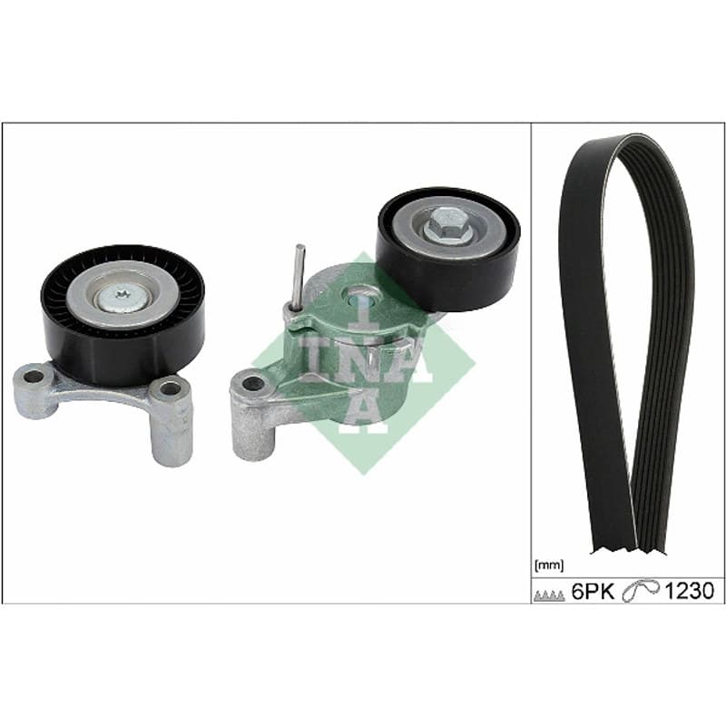 SCHAEFFLERINA V formos rumbuotas diržas, komplektas 529 0548 10