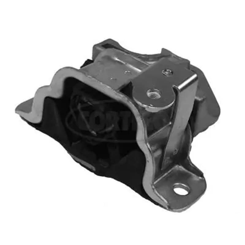 CORTECO variklio montavimas 80001487