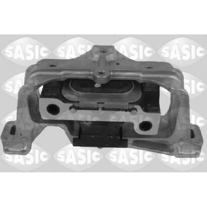 SASIC variklio montavimas 2706158
