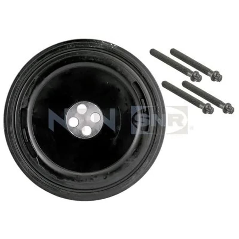 SNR skriemulys, alkūninis velenas DPF350.04K1