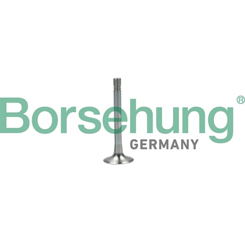 BORSEHUNG angos vožtuvas B19003