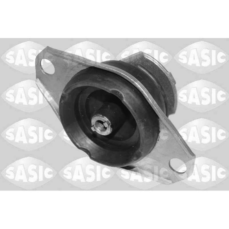 SASIC variklio montavimas 2706472