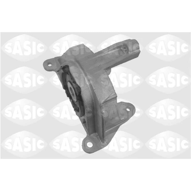 SASIC variklio montavimas 9002436