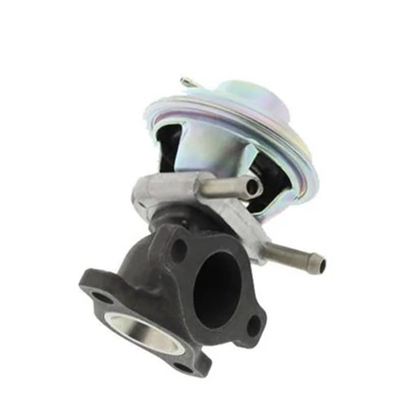 MAGNETIMARELLI ERG vožtuvas 571822112064