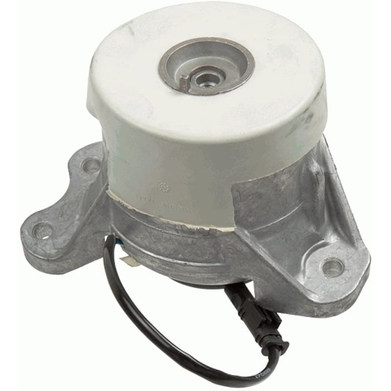 LEMFRDER variklio montavimas 39523 01