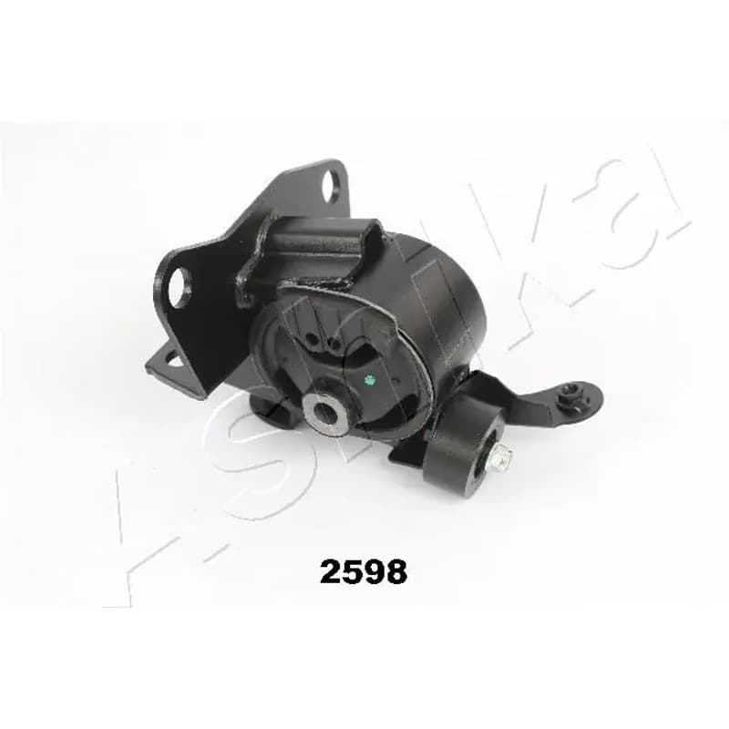 ASHIKA variklio montavimas GOM-2598