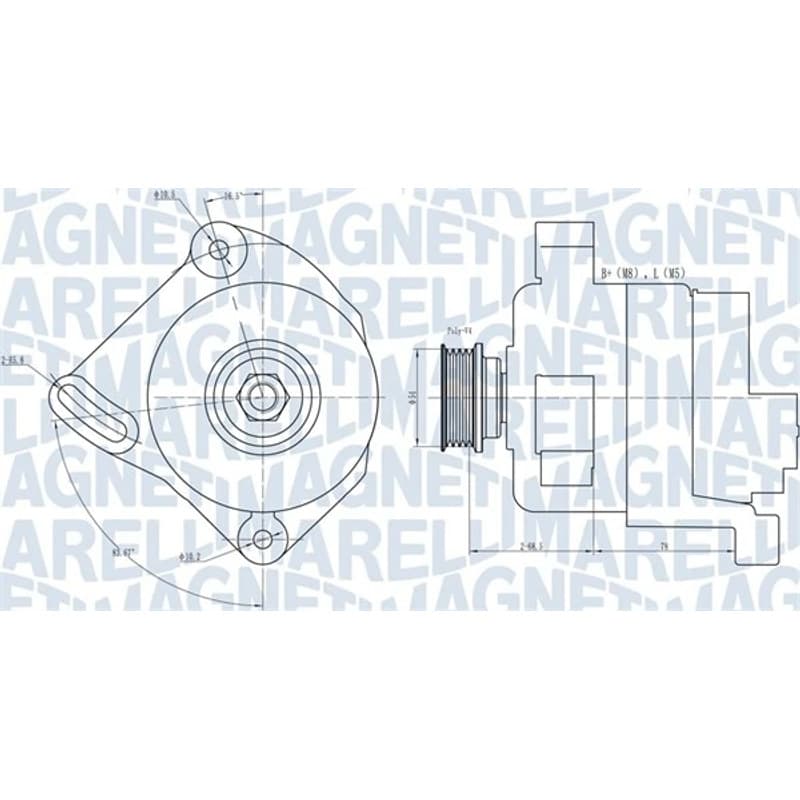 MAGNETIMARELLI kintamosios srovės generatorius 063731886010