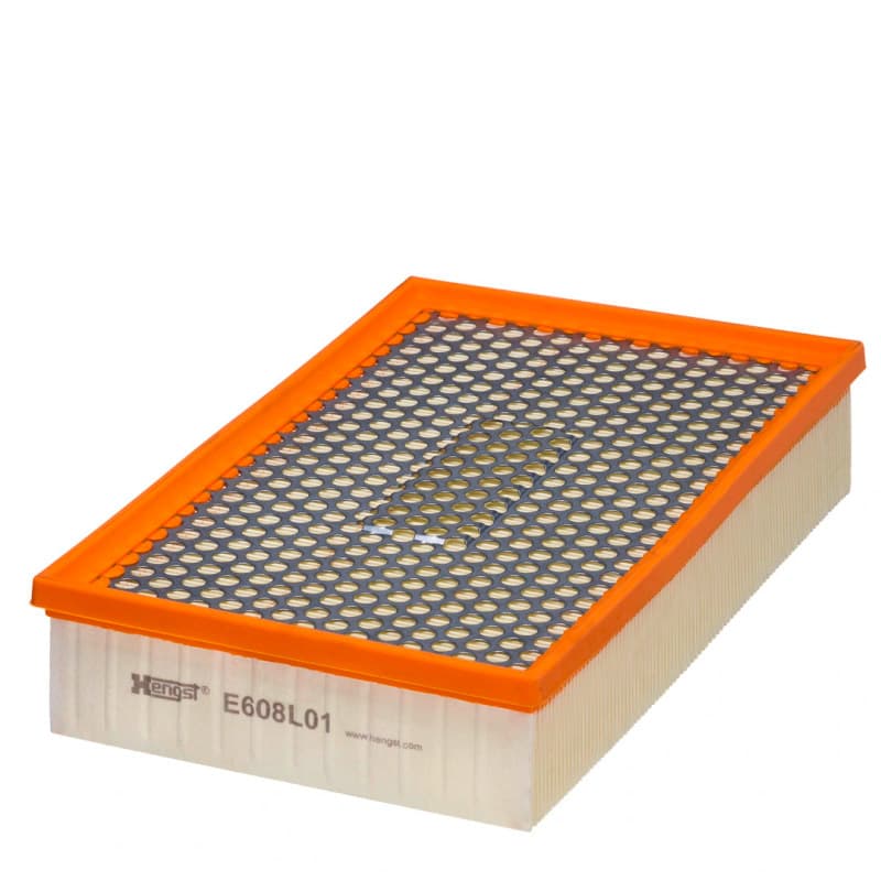 HENGSTFILTER oro filtras E608L01