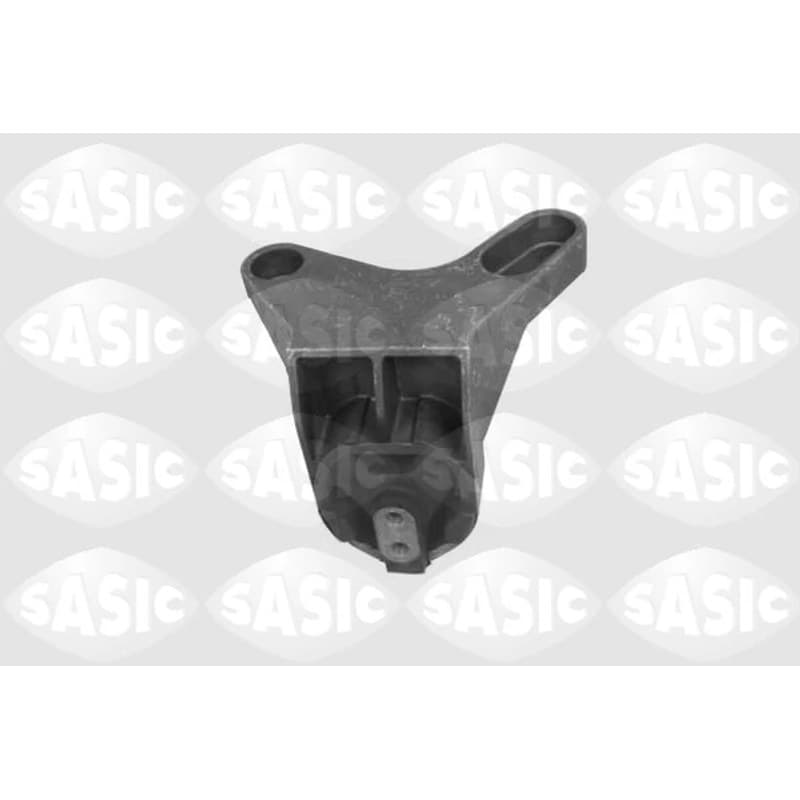 SASIC variklio montavimas 9002448
