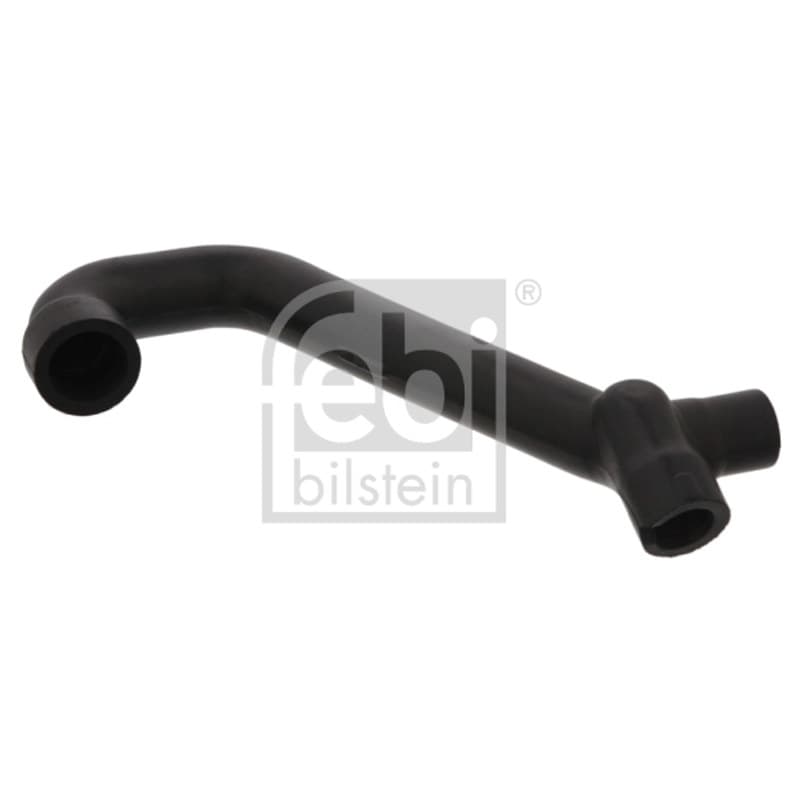 FEBIBILSTEIN žarna, karterio alsuoklis 33854