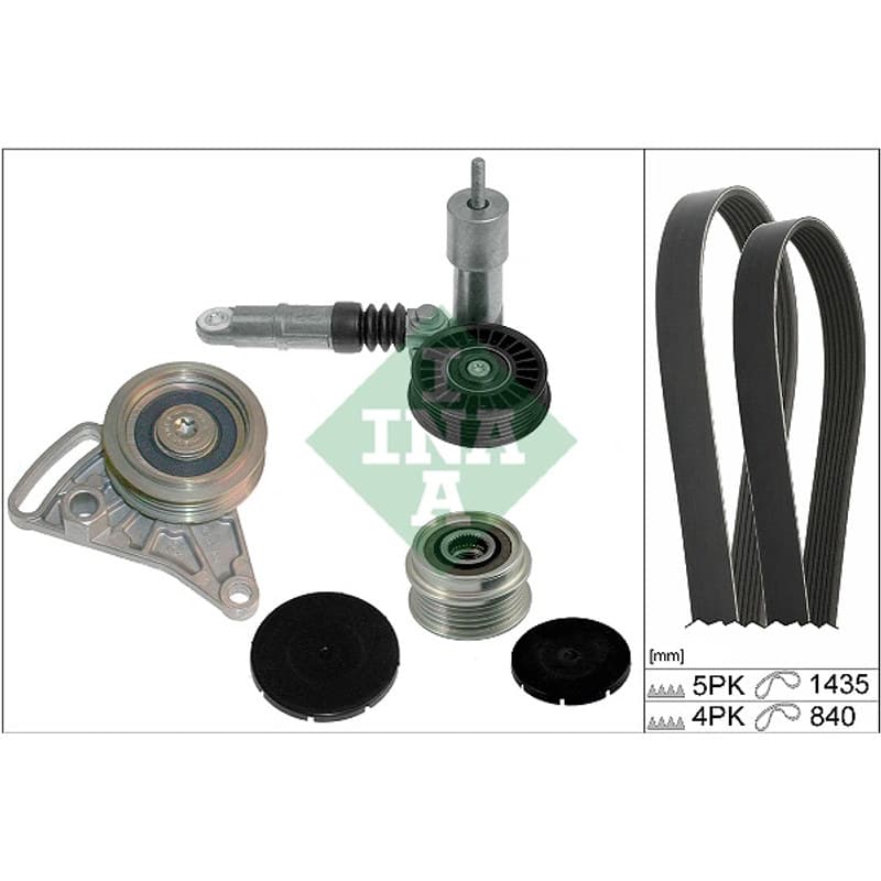 SCHAEFFLERINA V formos rumbuotas diržas, komplektas 529 0523 20