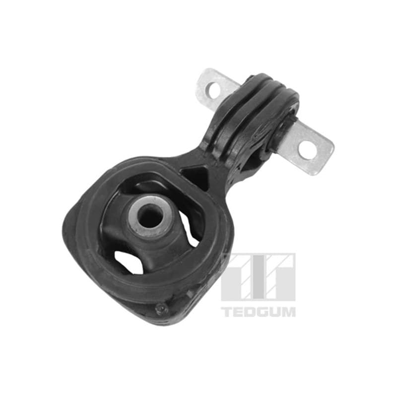 TEDGUM variklio montavimas 00263052