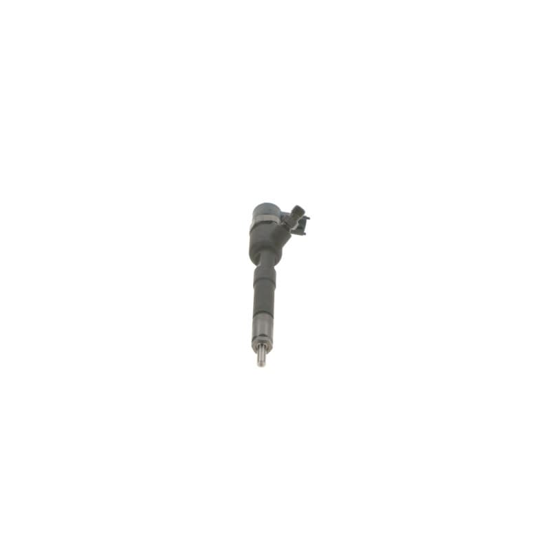 BOSCH 0 445 110 813 įpurškimo antgalis