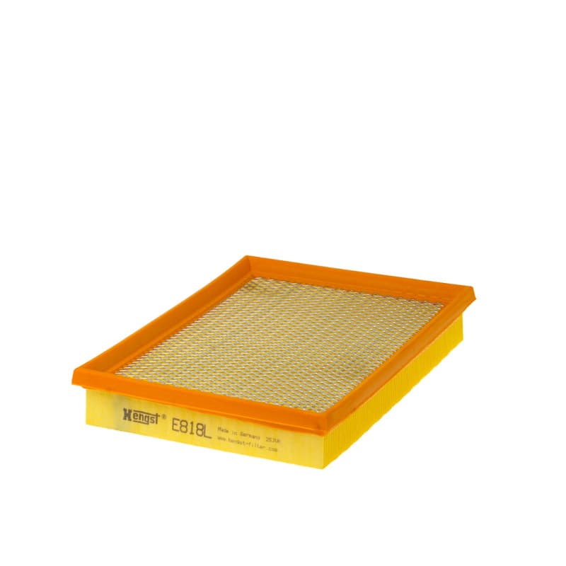 HENGSTFILTER Oro filtras E818L