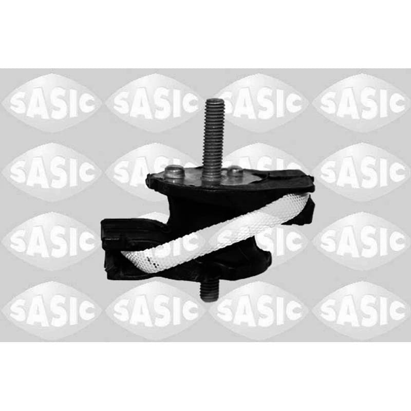 SASIC variklio montavimas 2706381