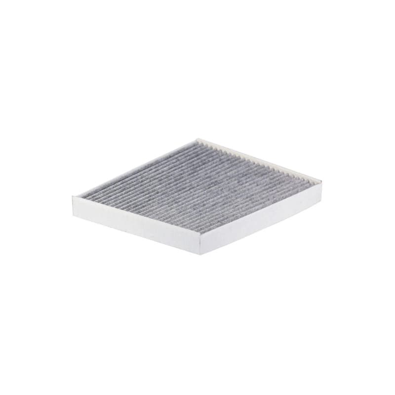 FILTRON filtras, salono oras K 1381A