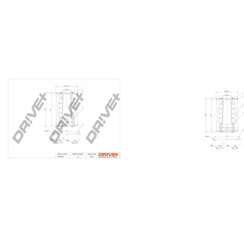DRVE alyvos filtras DP1110.11.0117