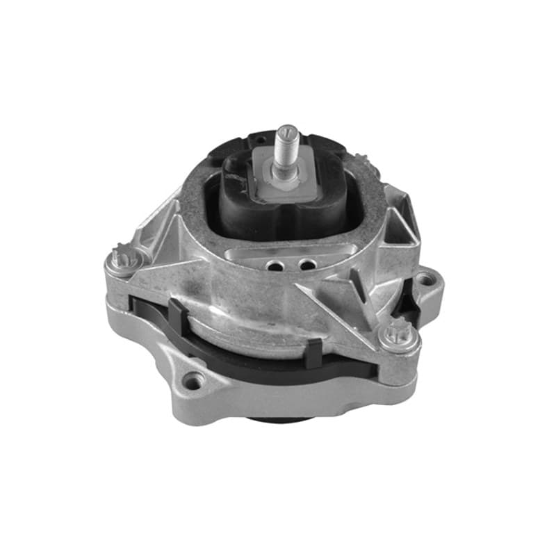 TEDGUM variklio montavimas TED22572