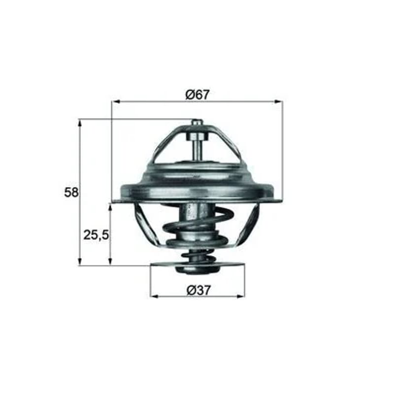 MAHLE TX 20 80D termostatas, aušinimo skystis