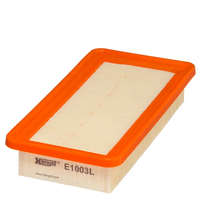 HENGSTFILTER oro filtras E1003L
