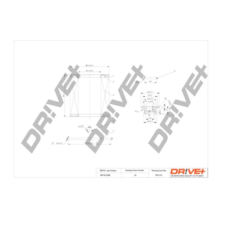 DRVE DP1110.11.0193 alyvos filtras