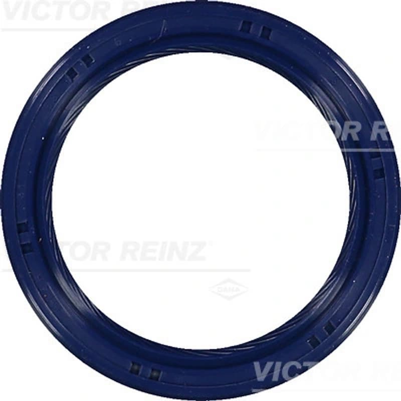 VICTORREINZ veleno sandariklis, alkūninis velenas 81-53699-00
