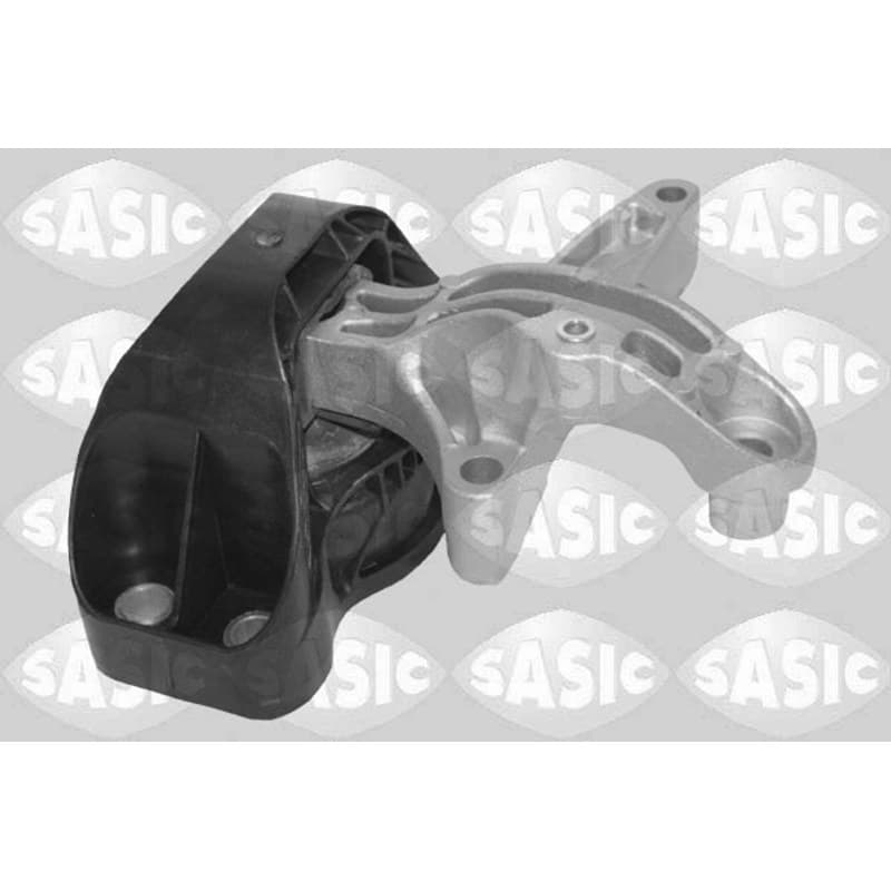 SASIC variklio montavimas 2704143