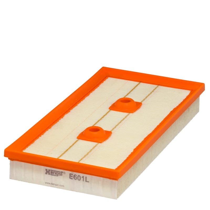 HENGSTFILTER oro filtras E601L