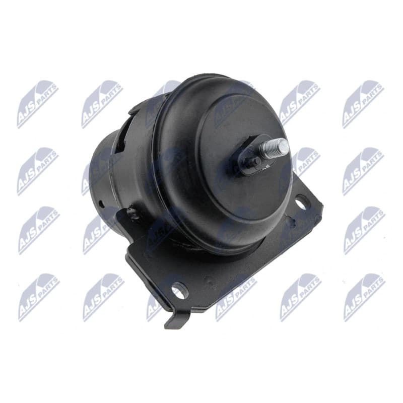 NTY variklio montavimas ZPS-TY-055