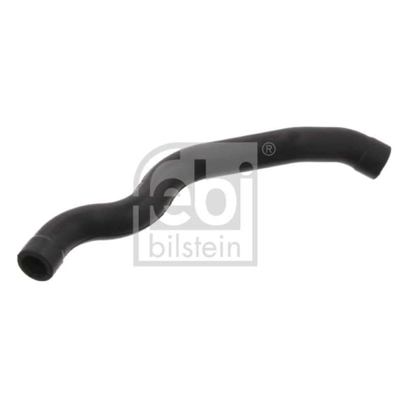 FEBIBILSTEIN žarna, karterio alsuoklis 33946