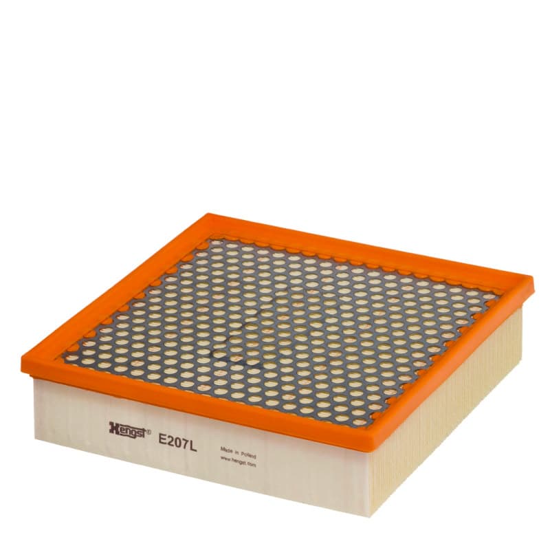 HENGSTFILTER oro filtras E207L