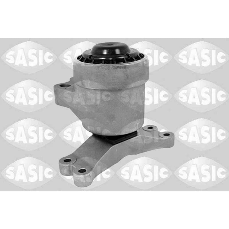 SASIC variklio montavimas 2706474