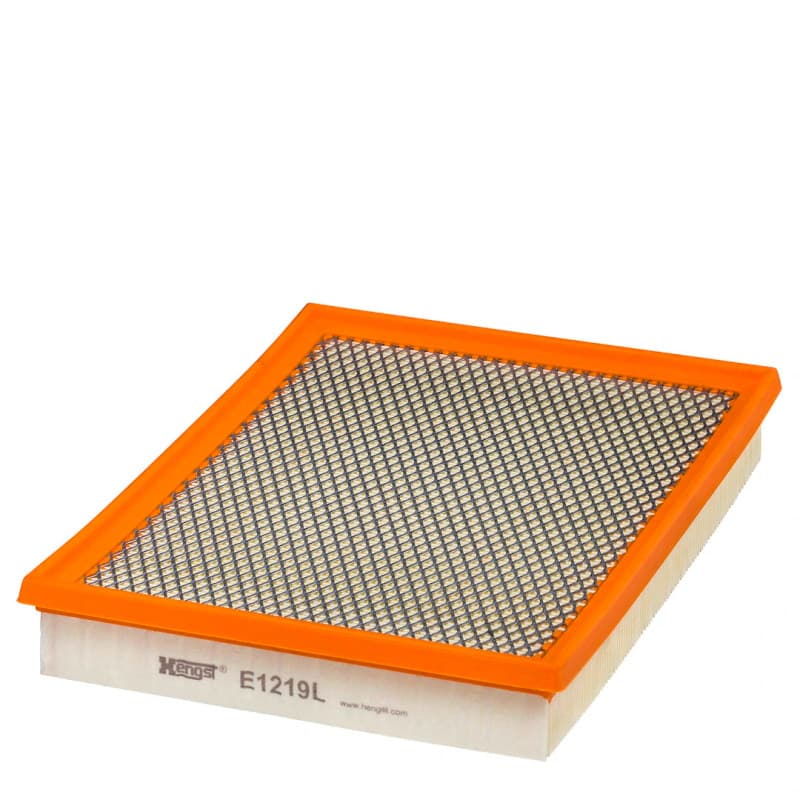 HENGSTFILTER oro filtras E1219L