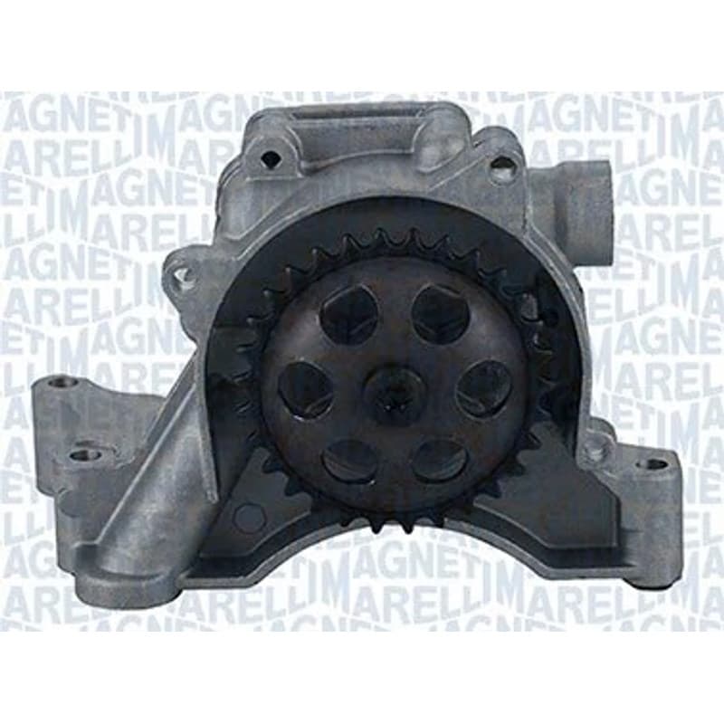 MAGNETIMARELLI alyvos siurblys 351516000033