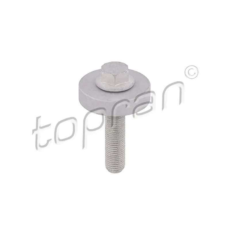 TOPRAN 701 418 skriemulio varžtas