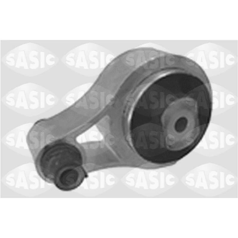 SASIC variklio montavimas 4001795