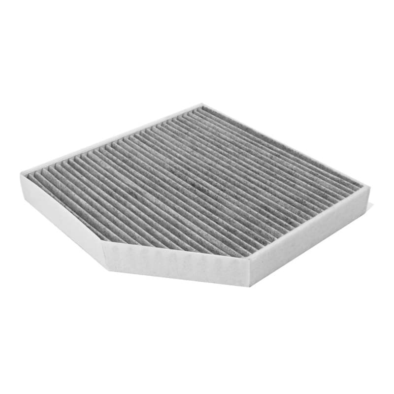 FILTRON filtras, salono oras K 1318A