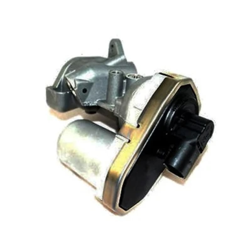 MAGNETIMARELLI ERG vožtuvas 571822112038