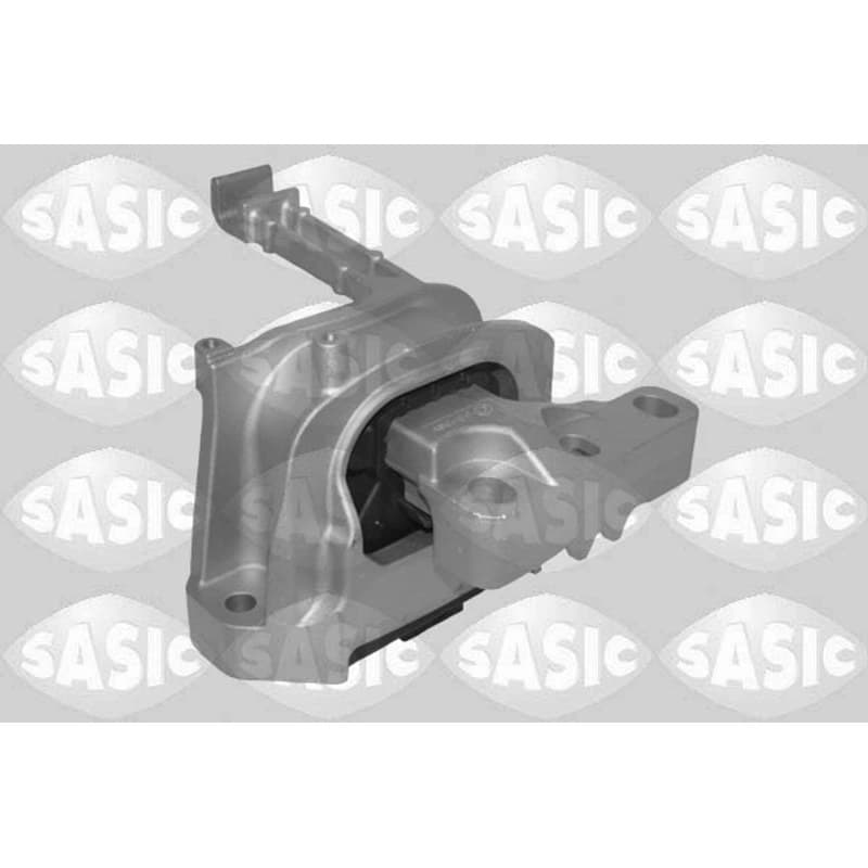 SASIC variklio montavimas 2706604