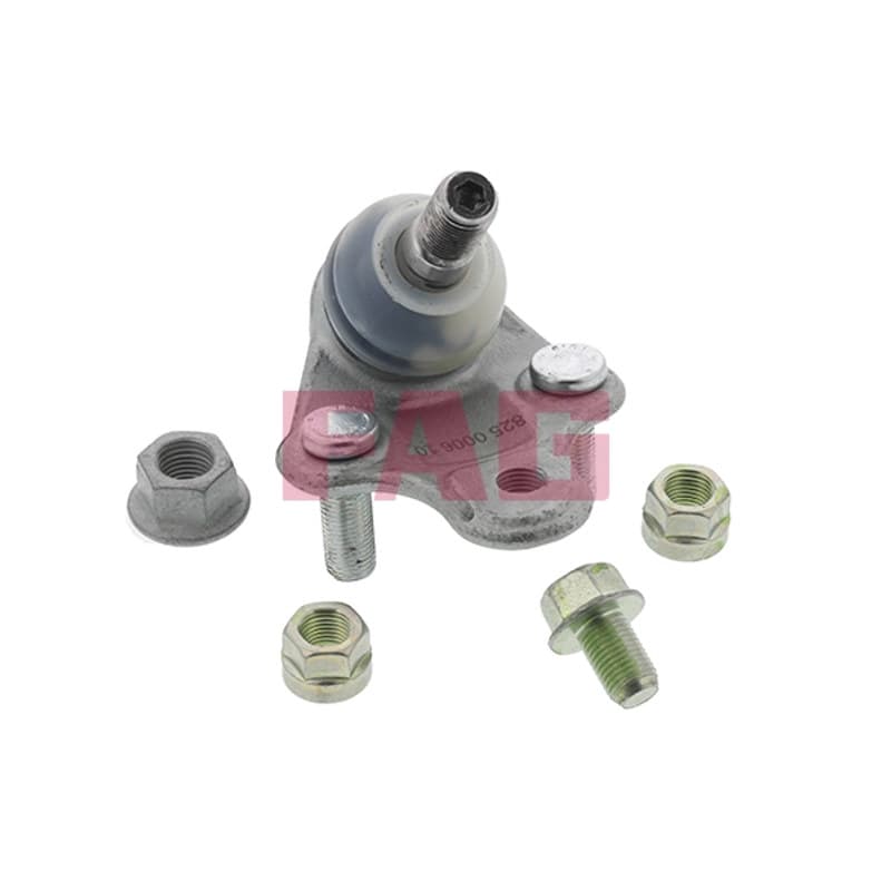 SCHAEFFLERFAG Šarnyras / girgždukas 825 0006 10