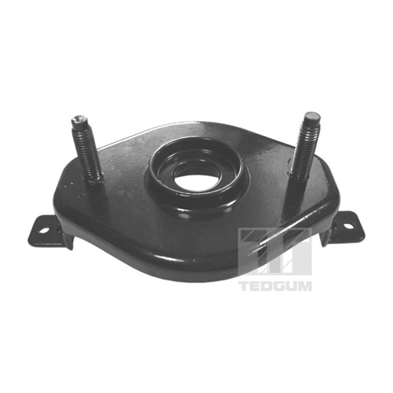 TEDGUM pakabos statramsčio atraminis guolis 00133030