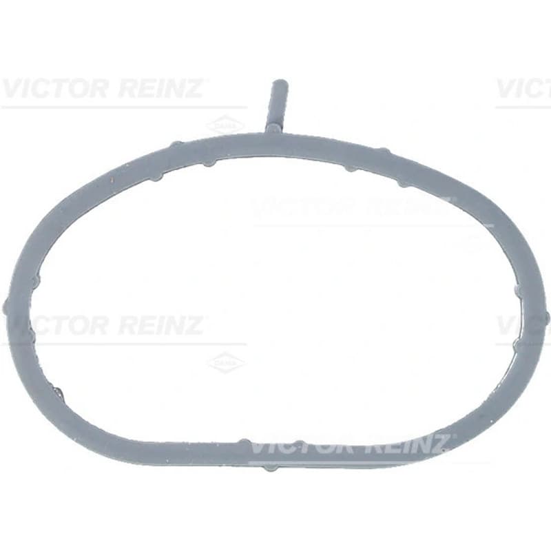 VICTORREINZ tarpiklis, įsiurbimo kolektorius 71-53414-00