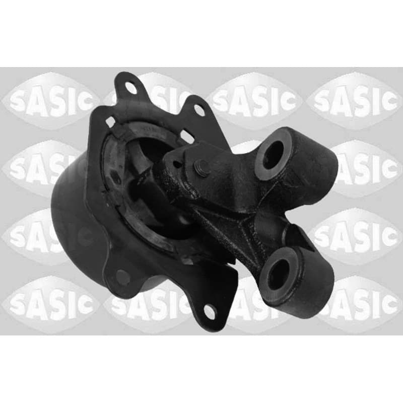 SASIC variklio montavimas 2706225