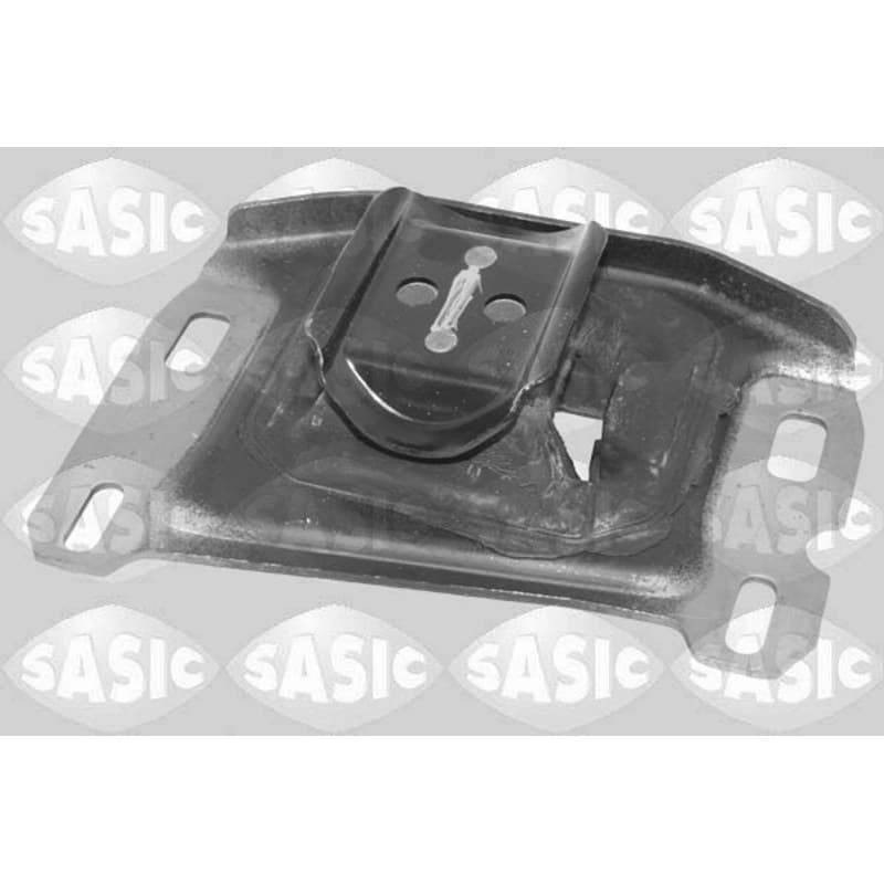 SASIC variklio montavimas 2700118
