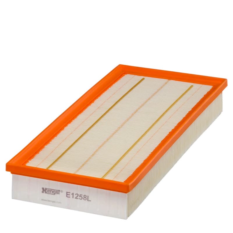 HENGSTFILTER oro filtras E1258L