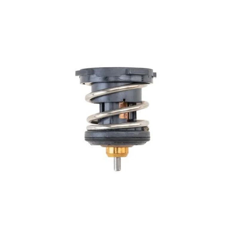 MAHLE TX 252 87 termostatas, aušinimo skystis