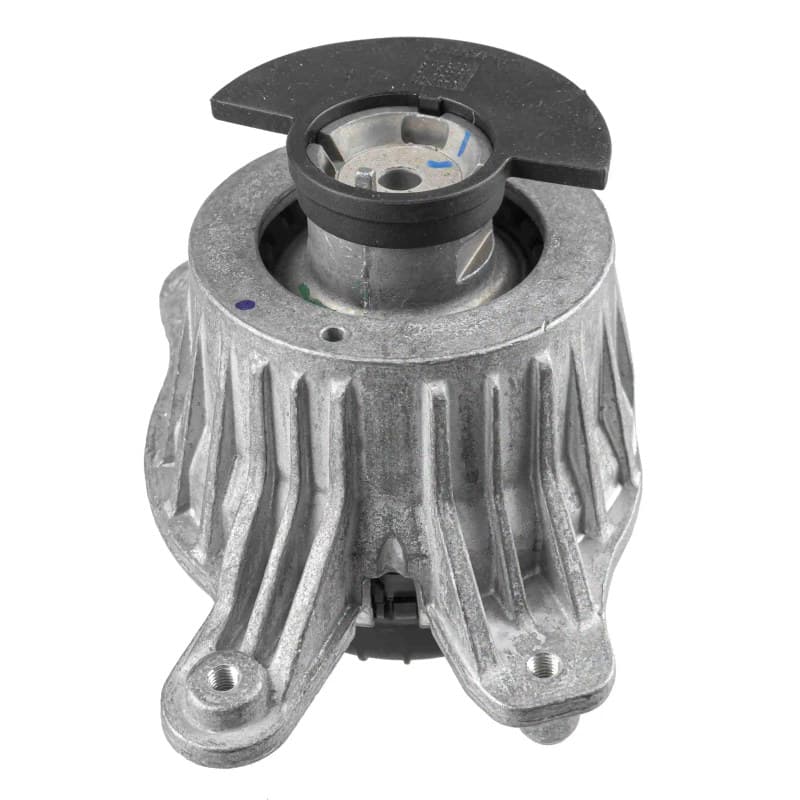 LEMFRDER variklio montavimas 43672 01