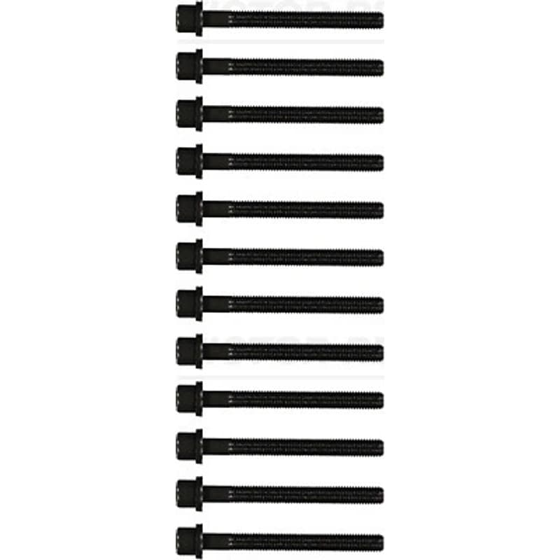 VICTORREINZ varžtų kompl., cil. galvutės varžtai 14-32047-02